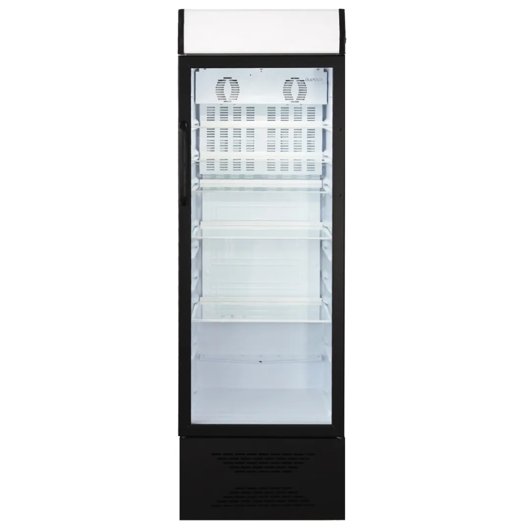 Vitrin tipidagi muzlatgich Biryusa B310PN