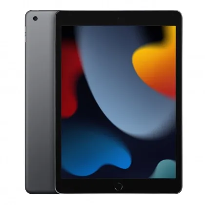 Apple iPad 10.2" (9 Gen) 256Gb Wi-Fi Gray plansheti
