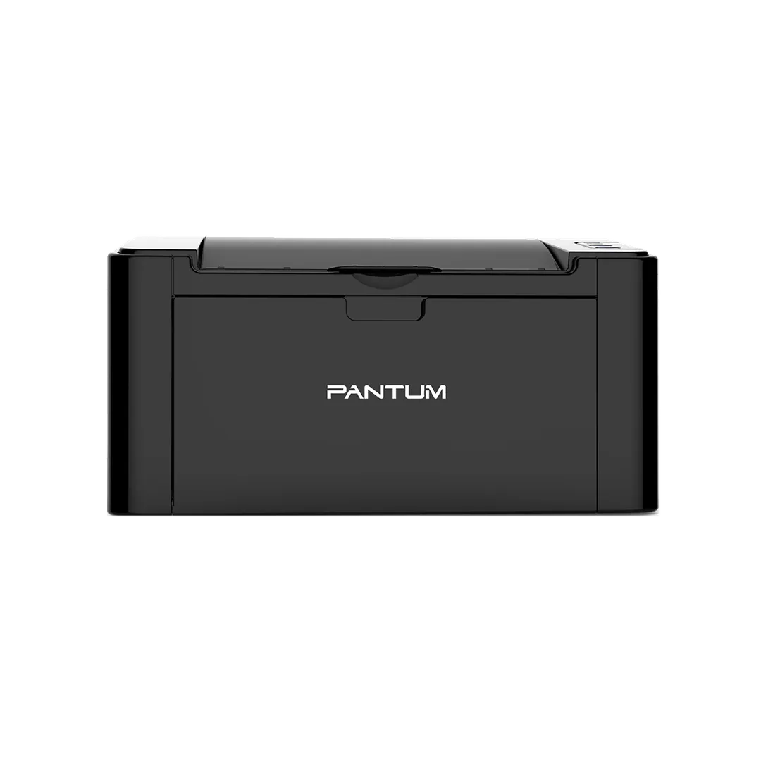 Принтер Pantum P2516, черный