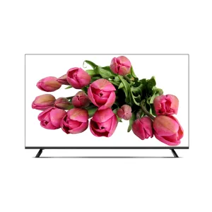 Televizor SSMART 55F22 Ultra HD 4K 55", qora